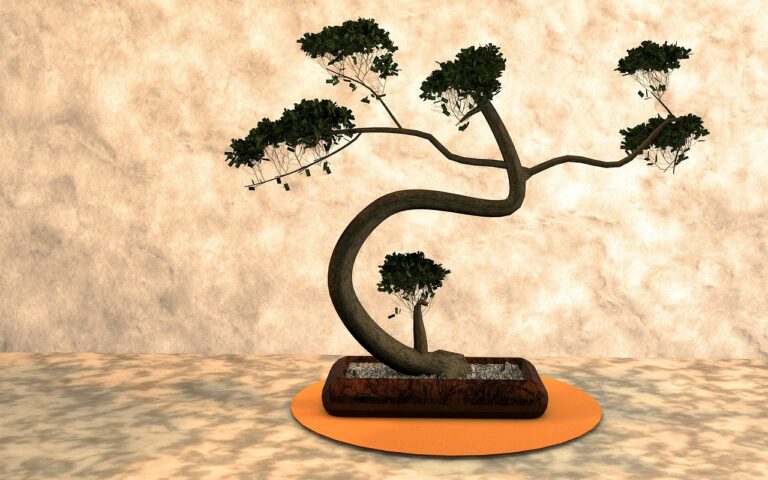 bunjin bonsai