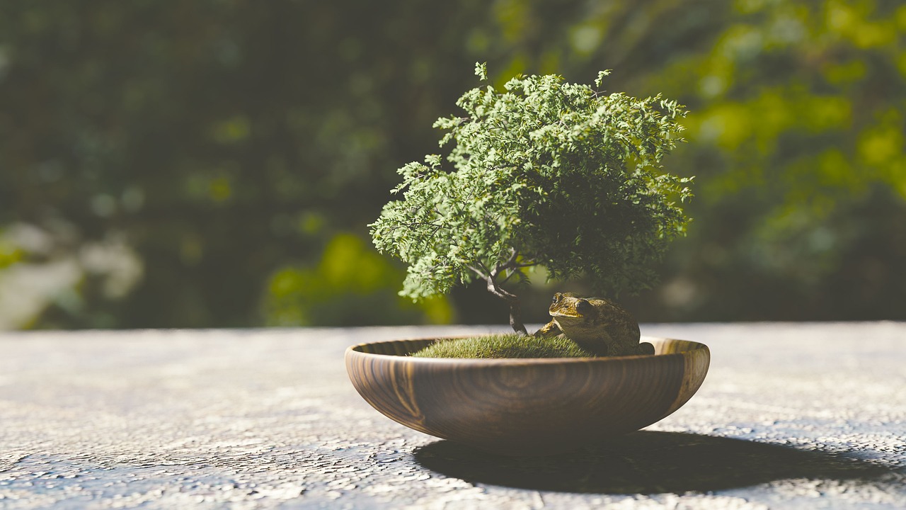 regar-bonsai